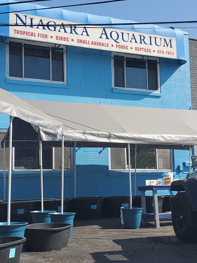 Pet Supply Store «Niagara Aquarium Co Inc», reviews and photos, 1345 Military Rd, Buffalo, NY 14217, USA