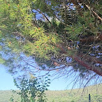 Photo n°2 de l'avis de I. fait le 13/06/2023 à 21:12 sur le  Hotel Tenner à Neustadt