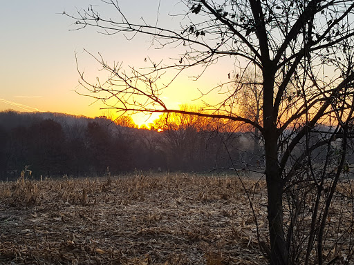 Disc Golf Course «Brockway Disc Golf Course», reviews and photos, 13669 Bronze Pkwy, Rosemount, MN 55068, USA