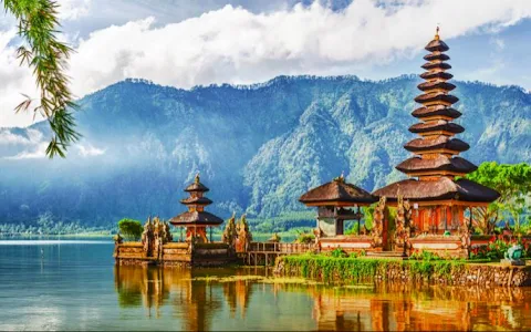 Bali Ritual Tours image