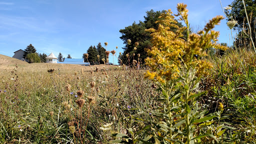 Event Venue «Skyview Lodge», reviews and photos, 336 Pearl Rd, Brunswick, OH 44212, USA