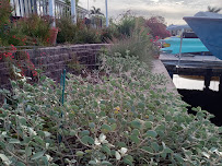 Step by Step Native Landscaping - Photo 8 - Car repair in St. Petersburg, FL, St. Petersburg