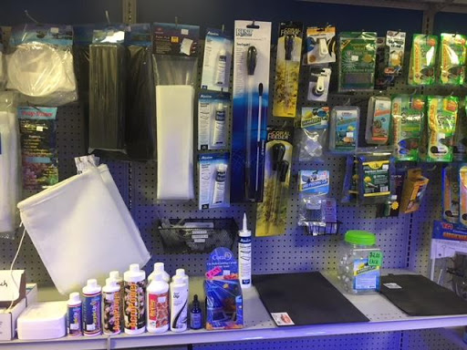 Pet Store «The Pet Shop», reviews and photos, 2235 S Power Rd #107, Mesa, AZ 85209, USA