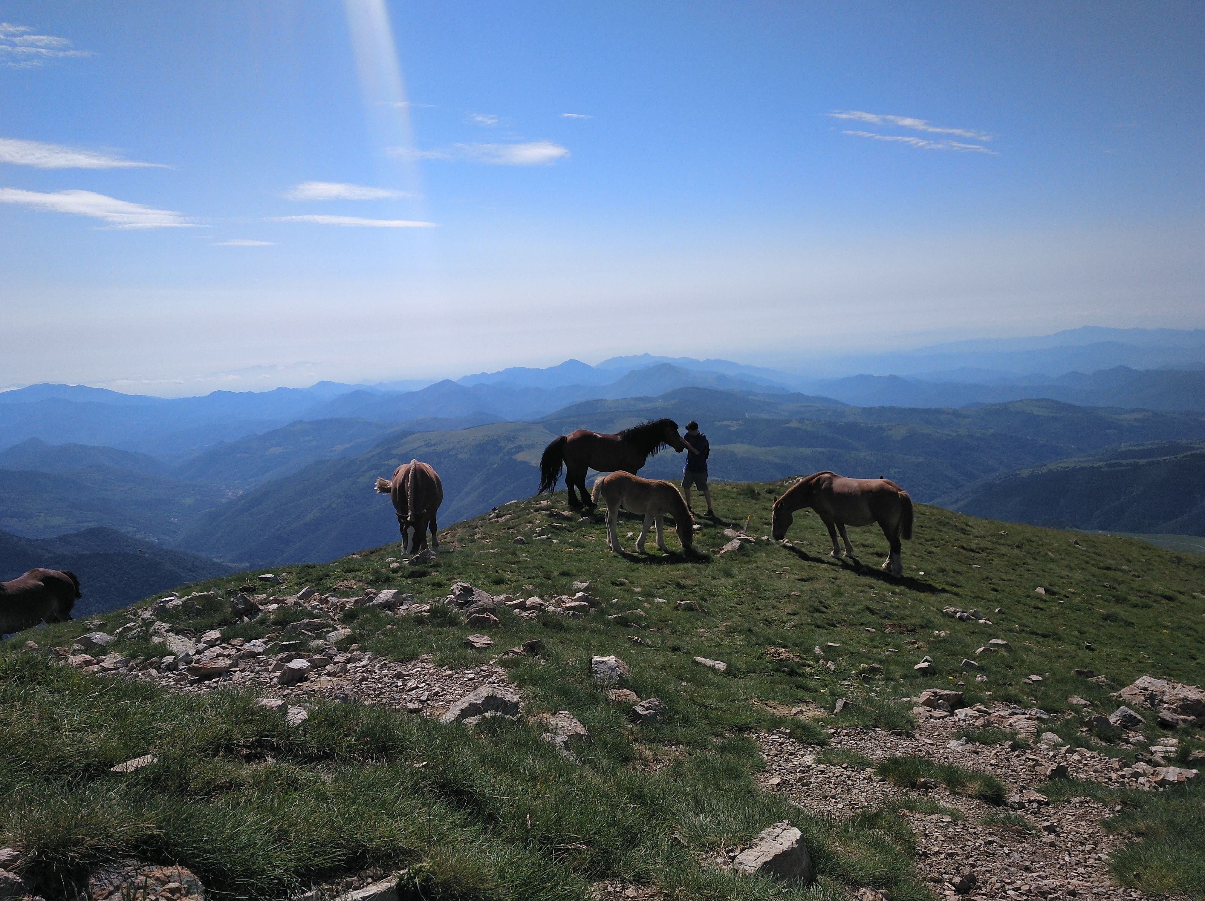 Photo n° 1 de l'avis de Pau. fait le 14/03/2019 à 12:45