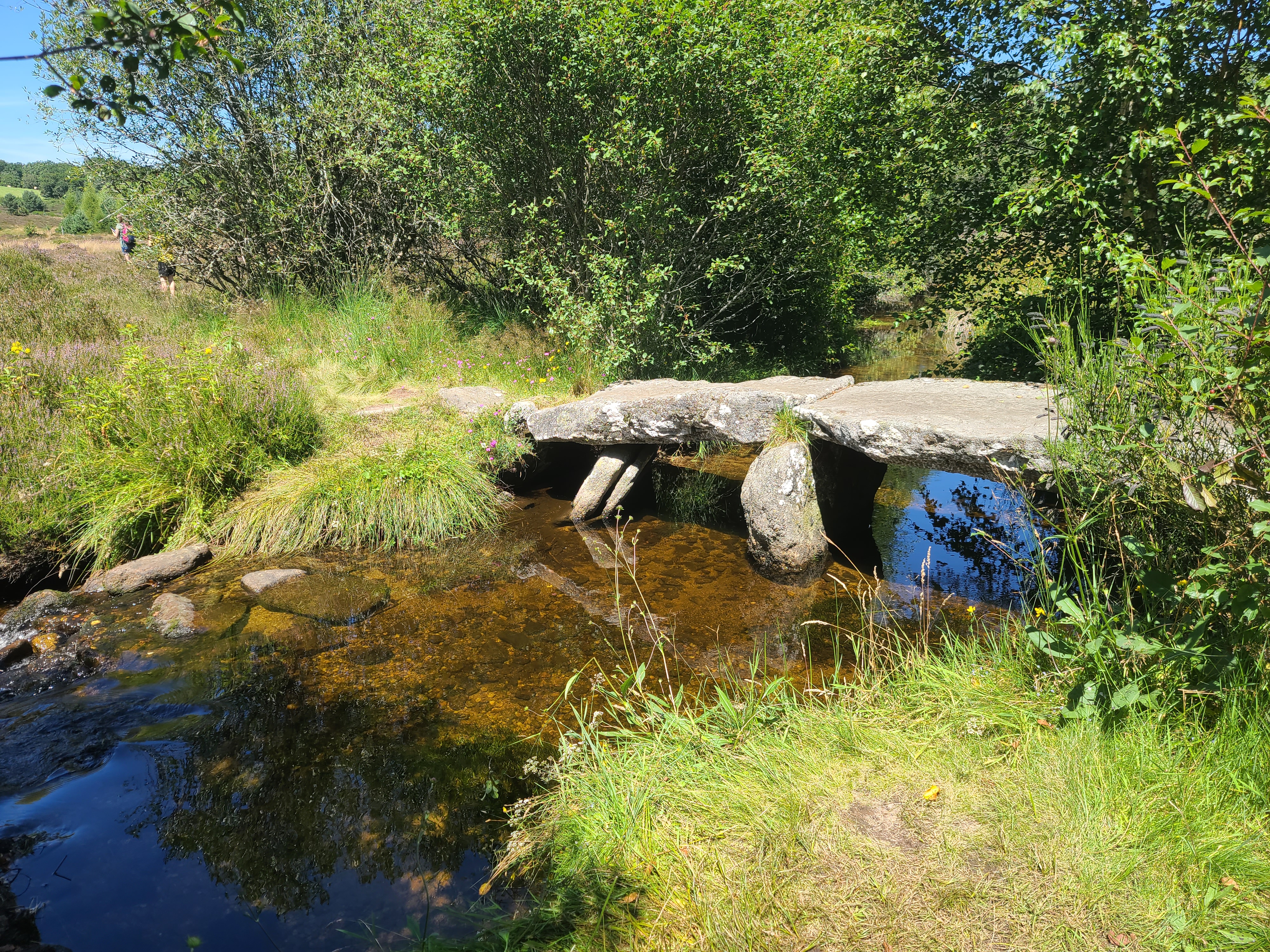 Photo n° 2 de l'avis de Astral. fait le 31/07/2023 à 14:35