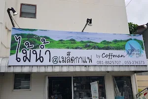 ไม้น้ำเมล็ดกาแฟ image