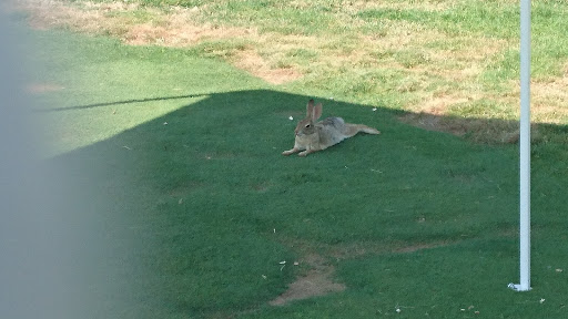 Poppy Ridge Golf Course image