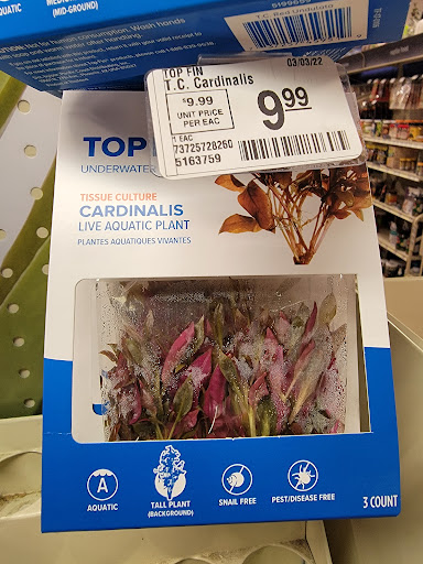 Pet Supply Store «PetSmart», reviews and photos, 777 S Willow St, Manchester, NH 03103, USA