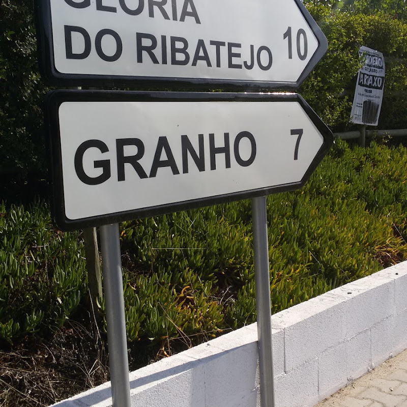 3 image