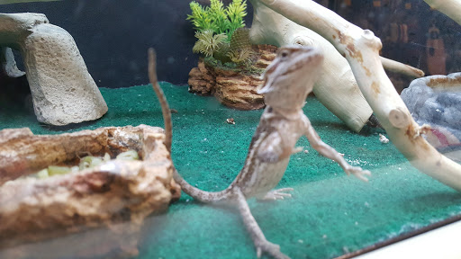 Pet Supply Store «PetSmart», reviews and photos, 2801 Pine Lake Rd, Lincoln, NE 68516, USA