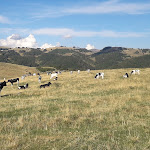Photo n°1 de l'avis de Marco.o fait le 24/07/2022 à 15:37 sur le  Passo delle Fittanze à Erbezzo