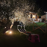 Photo n°2 de l'avis de Marco.i fait le 27/08/2019 à 19:59 sur le  B&b chalet negli ulivi à Silvi