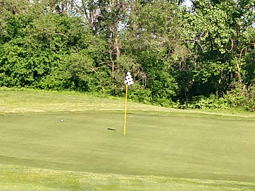 Golf Course «Stony Creek Golf Course», reviews and photos, 5850 W 103rd St, Oak Lawn, IL 60453, USA