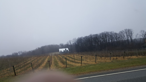 Winery «Dablon Vineyards & Winery», reviews and photos, 111 W Shawnee Rd, Baroda, MI 49101, USA