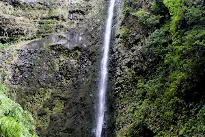 Madeira Adventure Kingdom - Levada walks & Canyoning in Madeira. image