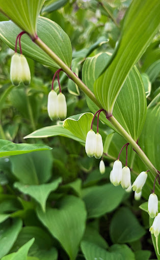 Gift Shop «Squire House Gardens», reviews and photos, 3390 St Croix Trail S, Afton, MN 55001, USA