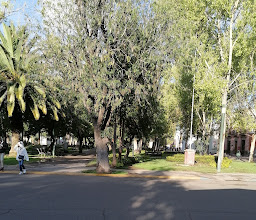 Paseo Las Alamedas photo