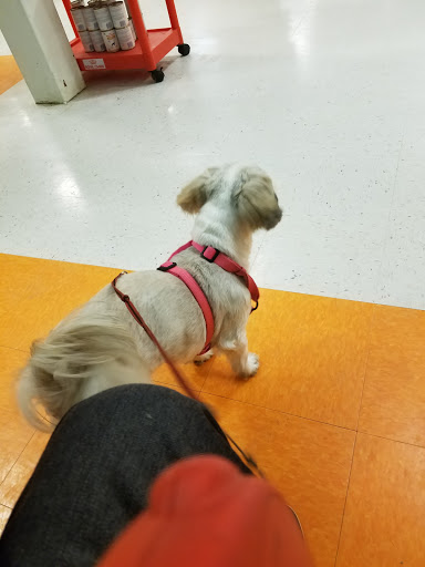 Pet Supply Store «PetSmart», reviews and photos, 278 New Britain Ave, Plainville, CT 06062, USA