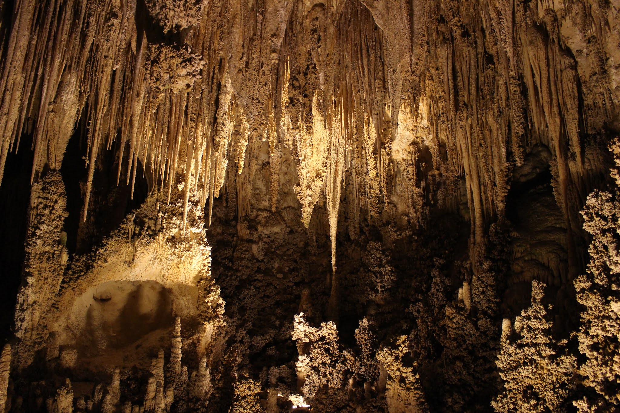 Picture of a place: Carlsbad Caverns National Park