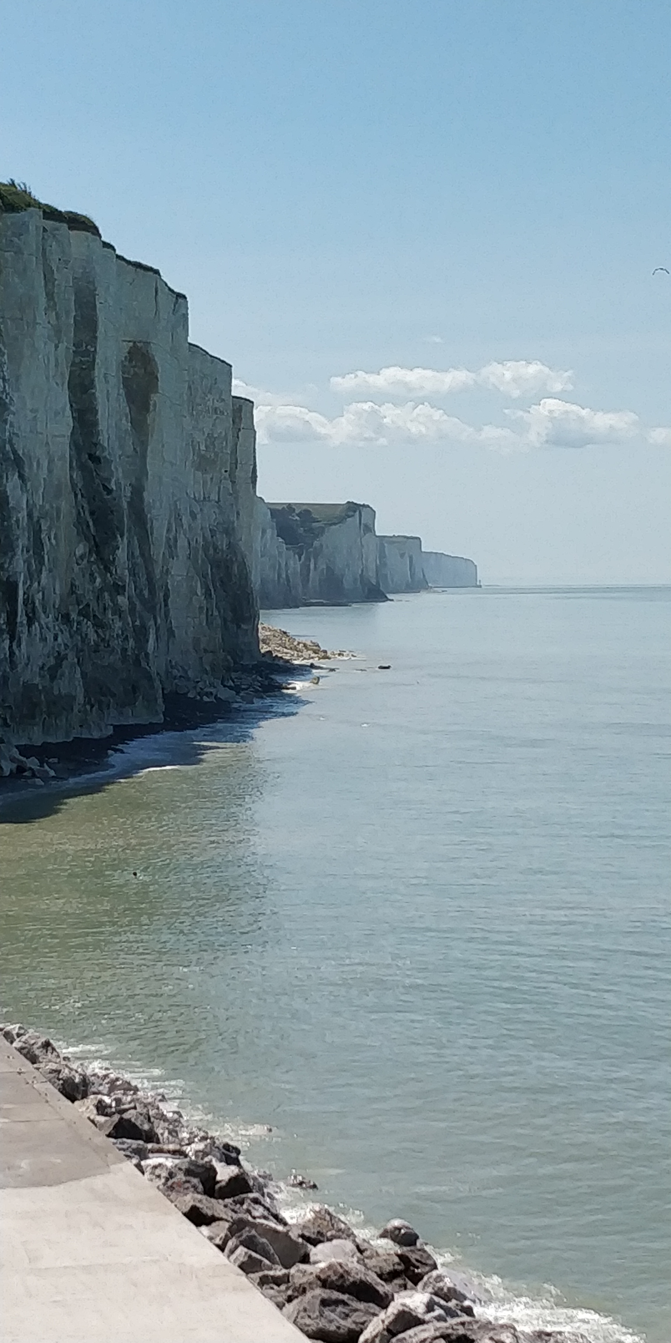 Photo n° 1 de l'avis de Letellier.a fait le 17/05/2022 à 17:23