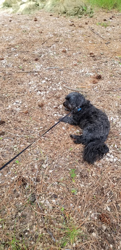 Pet Supply Store «Petco Animal Supplies», reviews and photos, 2095 N Harris Blvd, Layton, UT 84041, USA