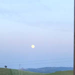 Photo n°7 de l'avis de Aka.k fait le 30/04/2018 à 20:34 sur le  Agriturismo IL Marciatoio à Scansano