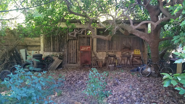 Camping Los Olivos - Camping
