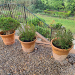 Photo n° 1 de l'avis de françois.a fait le 03/01/2022 à 16:54 pour Pépiniere de la Bastide à Cabriès