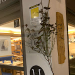 Photo n°14 de l'avis de Michele.i fait le 04/02/2020 à 14:14 sur le  Bistrot Pizzeria Umami à Bormio