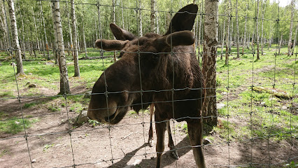 Långshyttans Älgpark