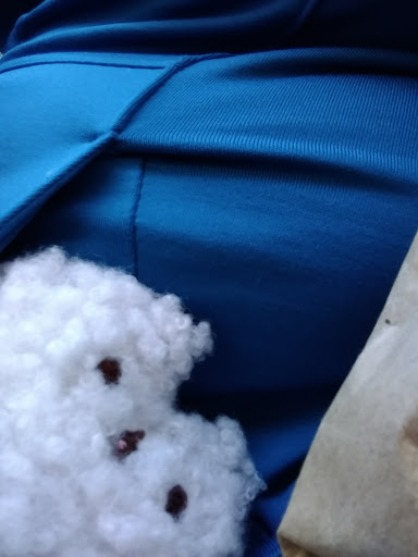 Novelty Store «Sausalito Ferry Co. Novelty Toy and Gift Store», reviews and photos, 688 Bridgeway, Sausalito, CA 94965, USA