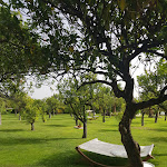 Photo n°2 de l'avis de Xavier. fait le 03/08/2019 à 22:10 sur le  Hotel Borgo Pantano à Syracuse