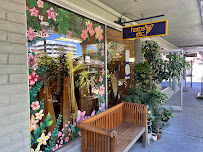 Harps Etc - Photo 2 - Car repair in Walnut Creek, CA, Concord