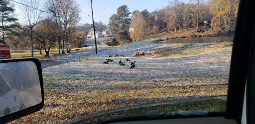 Sporting Goods Store «Academy Sports + Outdoors», reviews and photos, 113 S Cox Creek Pkwy, Florence, AL 35630, USA