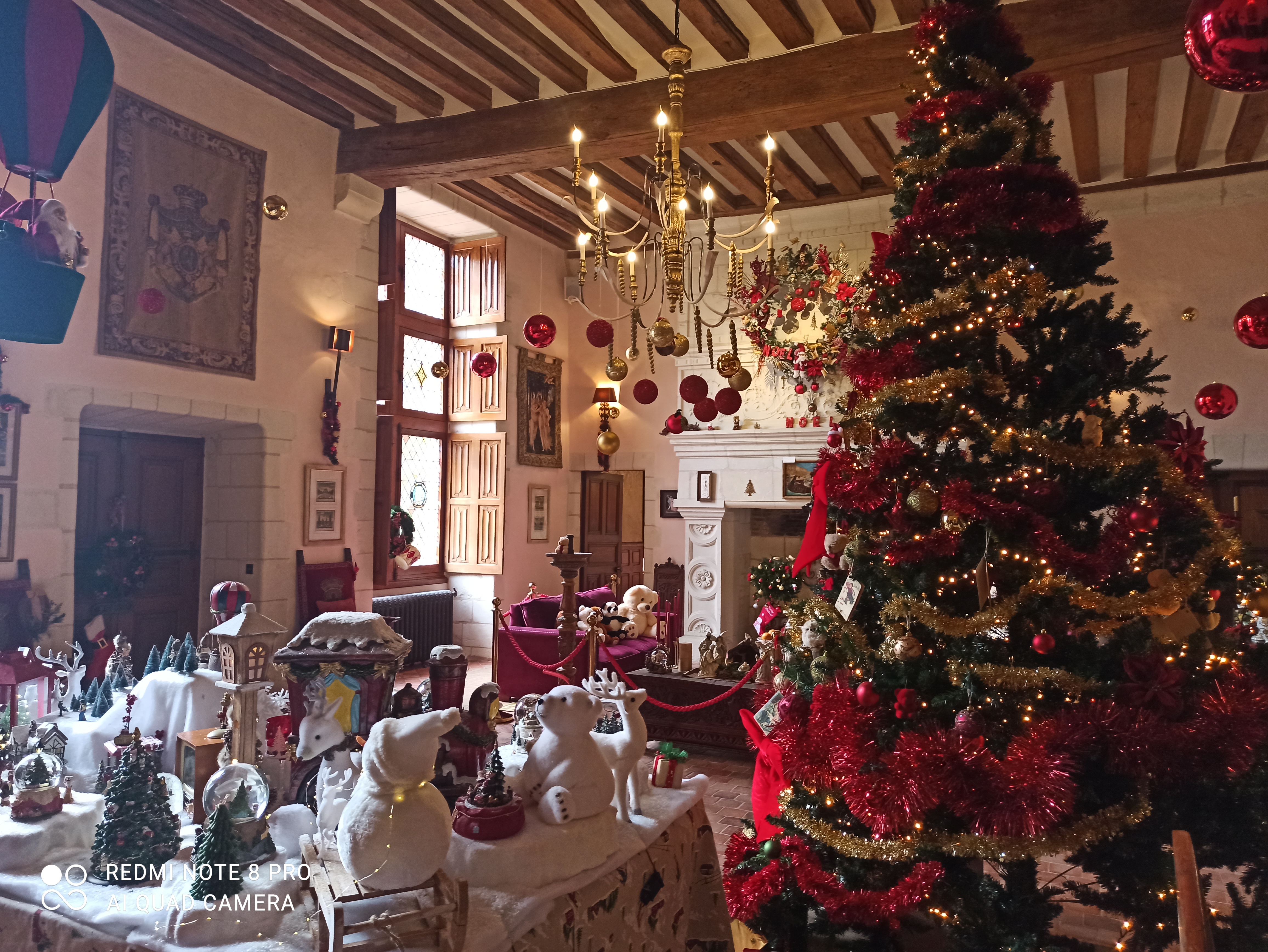 Photo n° 6 de l'avis de jo.i fait le 27/11/2022 à 12:38