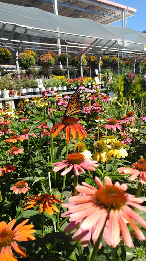 Home Improvement Store «The Home Depot», reviews and photos, 5 Allstate Rd, Boston, MA 02125, USA