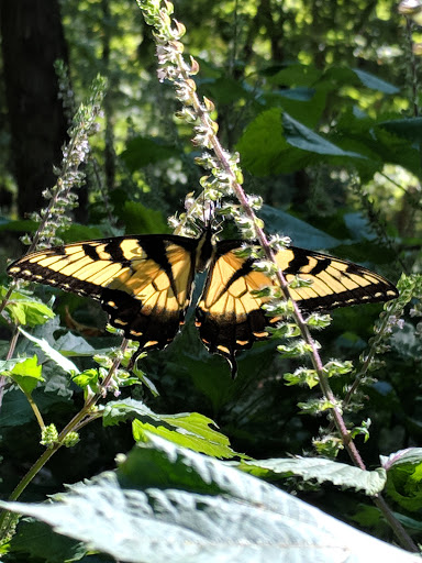 Museum «Audubon Museum & Nature Center», reviews and photos, 3100 US-41, Henderson, KY 42420, USA