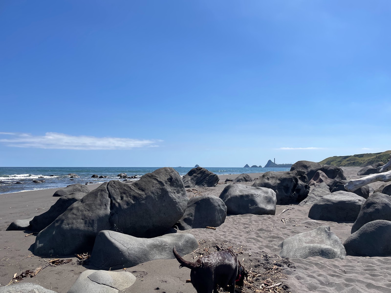 Photo de Tapuae Beach - endroit populaire parmi les connaisseurs de la détente