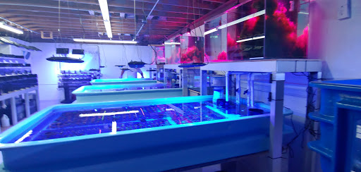 Aquarium «Atlantic Blue Aquariums», reviews and photos, 801 Northlake Blvd, North Palm Beach, FL 33408, USA