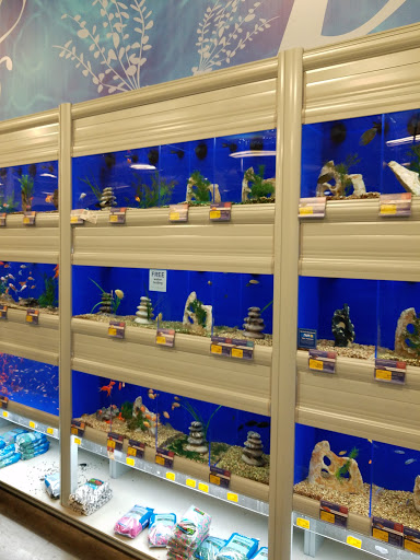 Pet Supply Store «PetSmart», reviews and photos, 3211 Peoples St, Johnson City, TN 37604, USA
