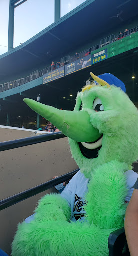 Stadium «Constellation Field», reviews and photos, 1 Stadium Dr, Sugar Land, TX 77498, USA