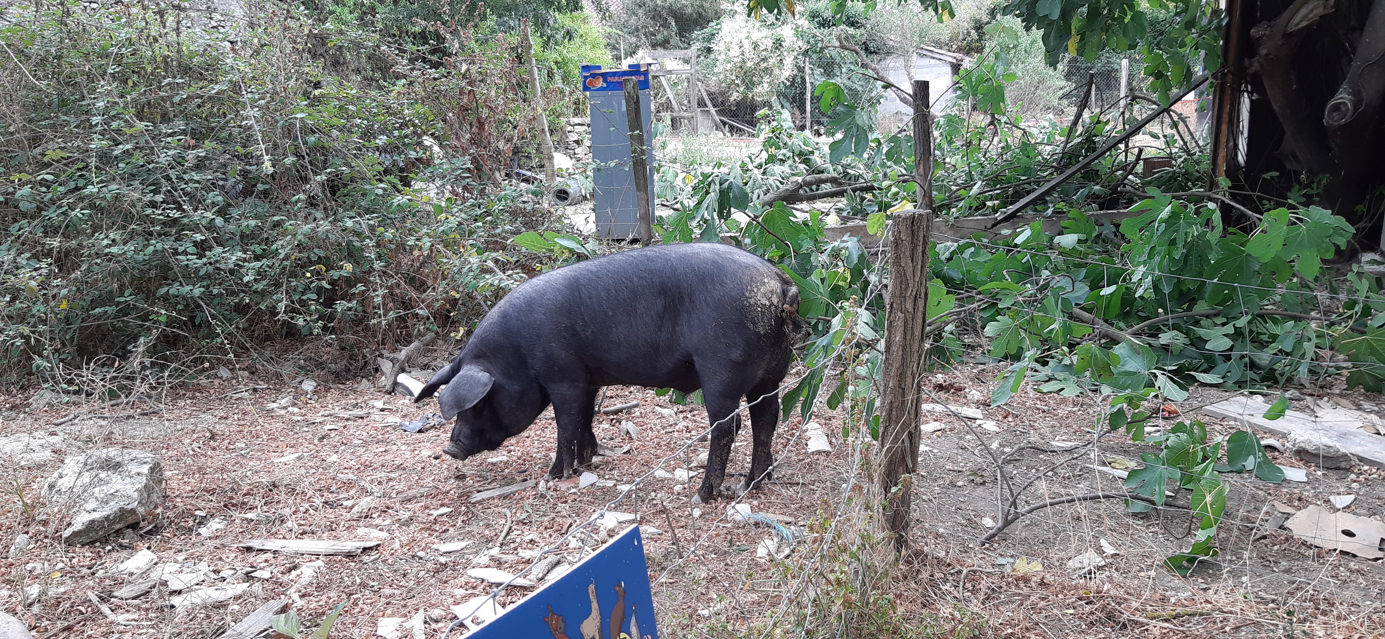Photo n° 4 de l'avis de Dimitri.u fait le 13/08/2020 à 19:45