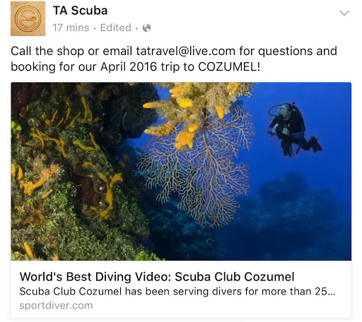 SCUBA Instructor «Tropical Adventures Scuba & Travel», reviews and photos, 3615 Portola Dr, Santa Cruz, CA 95062, USA