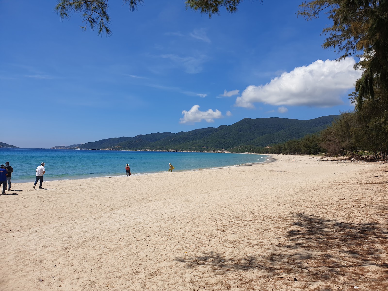Photo de Binh Tien Beach situé dans une zone naturelle