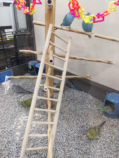 Pet Supply Store «Petco Animal Supplies», reviews and photos, 5006 NY-23 #1b, Oneonta, NY 13820, USA