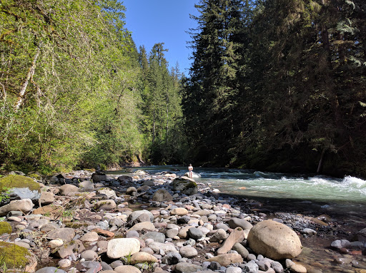 Tourist Attraction «Melmont ghost town», reviews and photos, Carbon River Rd, Carbonado, WA 98323, USA