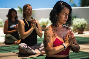 Yoga Under the Palms Kailua image