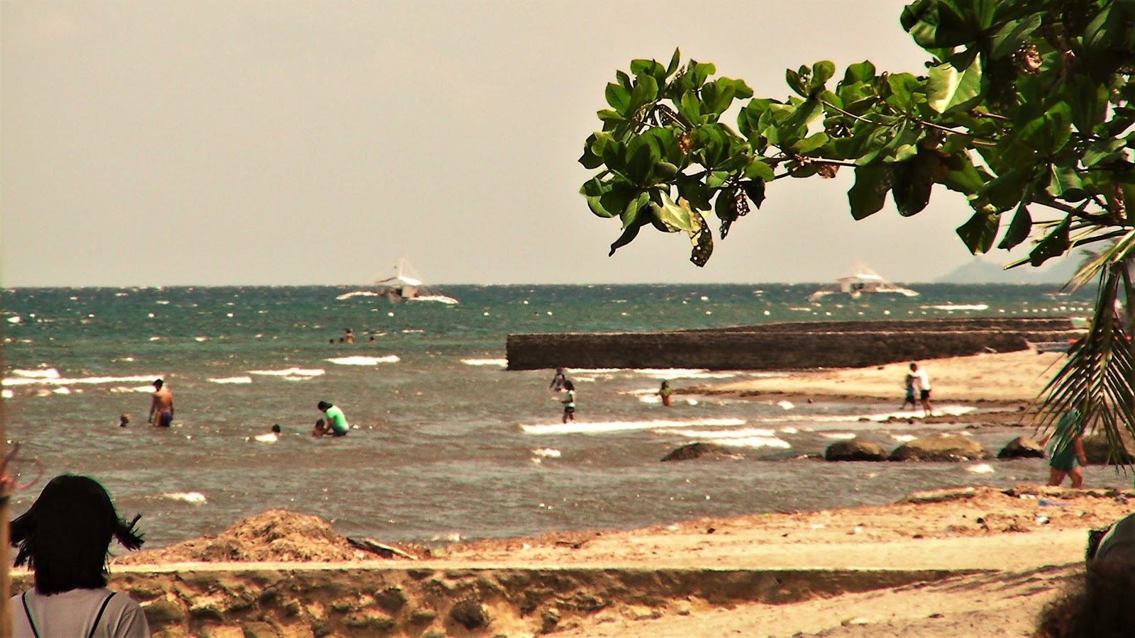 Foto di Melrose Beach zona selvaggia