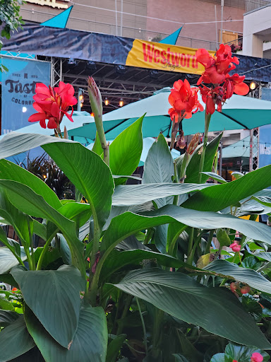 Shopping Mall «Larimer Square», reviews and photos, 1430 Larimer St, Denver, CO 80202, USA