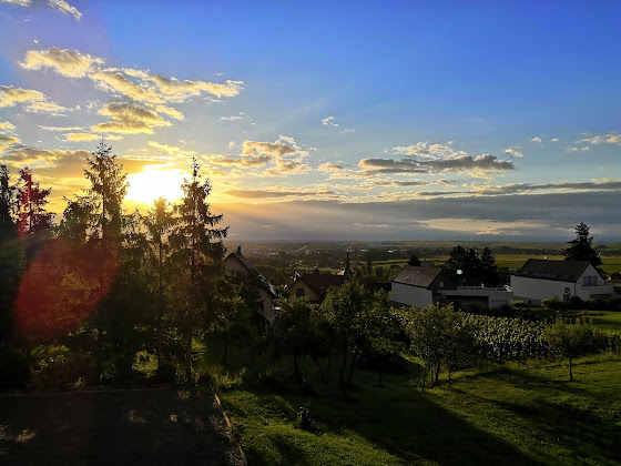 Photos des visiteurs Gîte La Rose Blanche 67520 Wangen